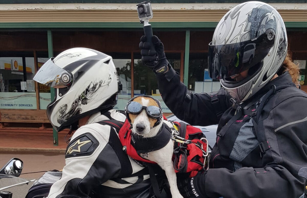 Dog Riders Club Riders gear up for Avon Valley’s Black Dog Ride - Echo Newspaper