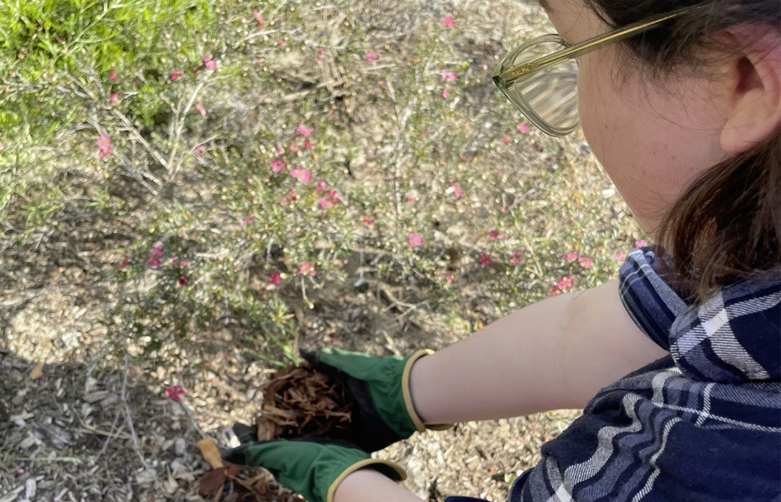Now is the time to prepare your garden for summer.