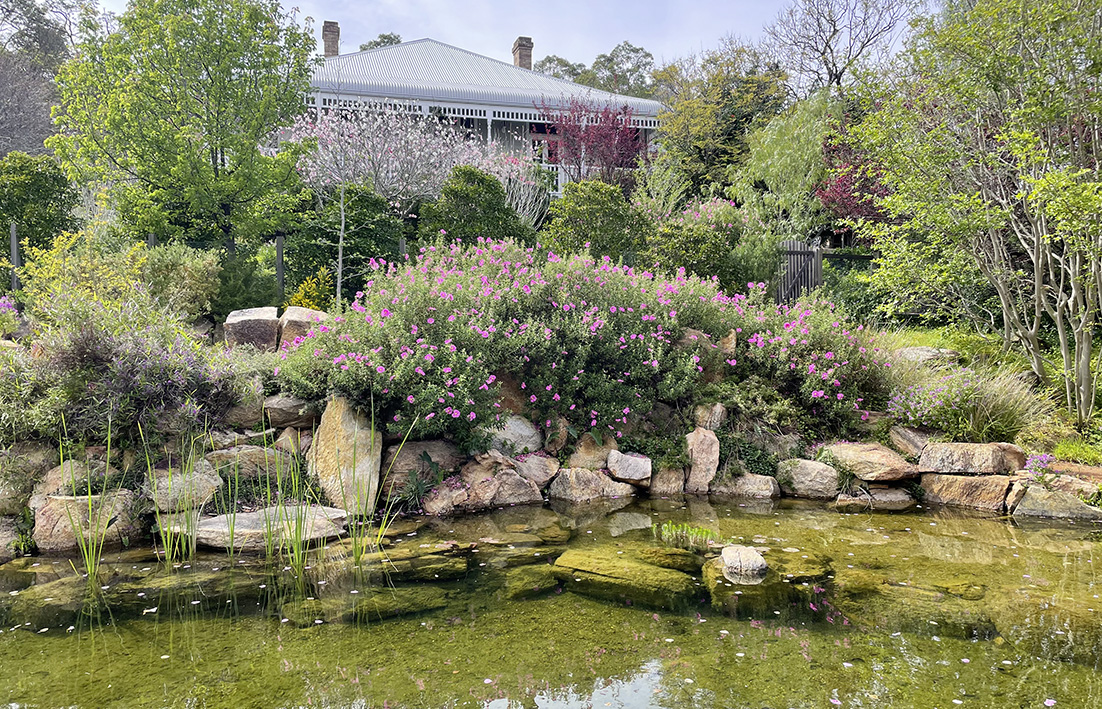 Little Acre’s natural swimming pond.